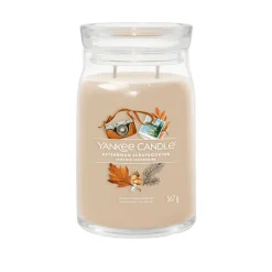 Afternoon Scrapbooking, candela in giara grande Yankee Candle