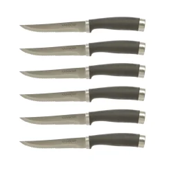 Coltelli per carne in acciaio inox e plastica, 6 pezzi