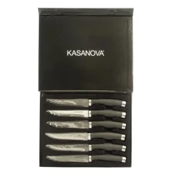 Coltelli per carne in acciaio inox e plastica, 6 pezzi