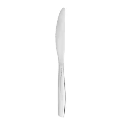 Coltello da frutta in acciaio inox