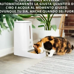 Distributore automatico cibo cani e gatti Easy Pet