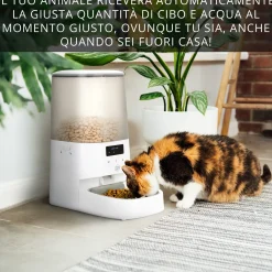 Distributore automatico Wi Fi cibo cani e gatti - Easy Pet