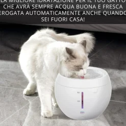 Fontanella per gatti 2 L Easy Pet