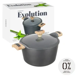 Pentola 22 cm con coperchio Evolution
