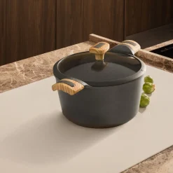 Pentola 22 cm con coperchio Evolution